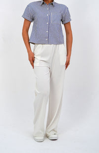 Classic Striped Blue Short Sleeve Button-Down Shirt